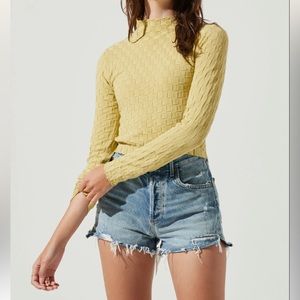 ASTR Lanare Checkered Mock Neck Long Sleeve Crop in Pistachio. Sold out online!